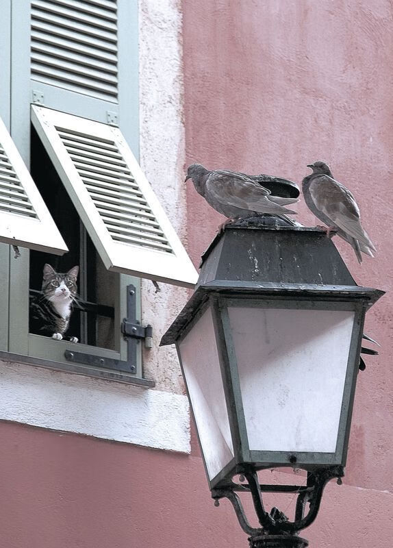 开云中国大陆-_新兴赛事：创新元素引领网球运动新风尚_，网球创新创业计划书