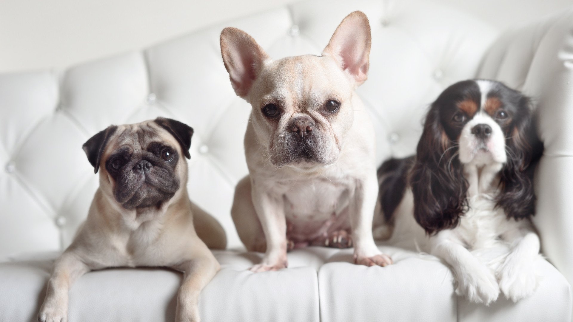 kaiyun登录入口-_城市徒步探险：发现城市隐藏的秘密角落_，城市徒步鞋对比评测