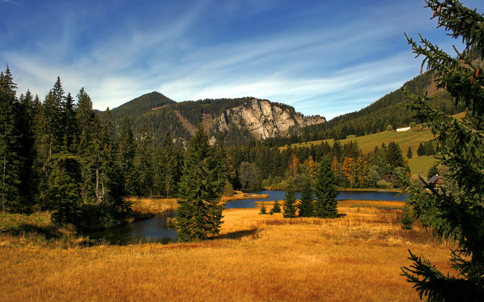 kaiyun 开云体育-_小威再夺美网冠军,职业生涯添新辉煌_,美国网坛女皇小威