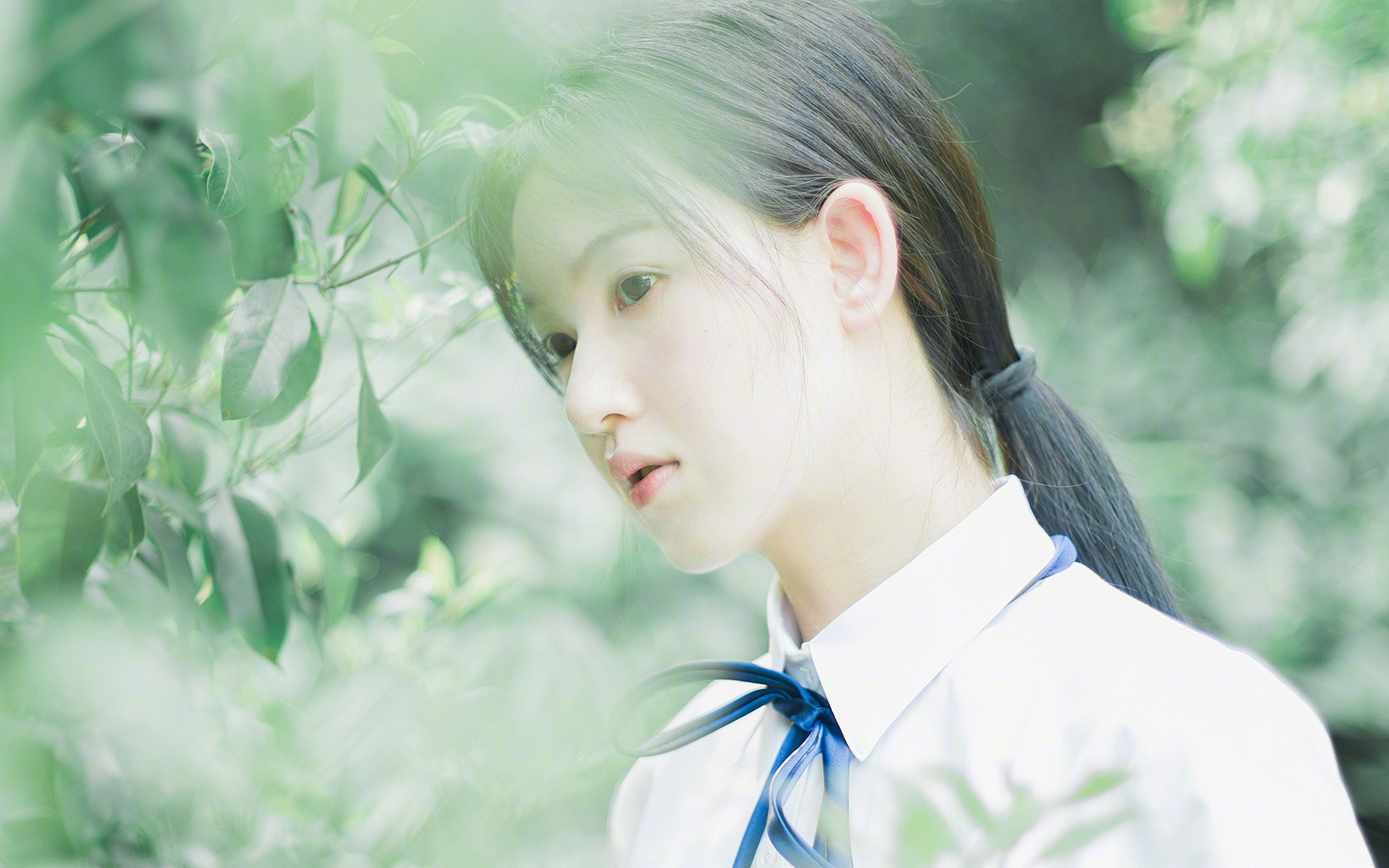 开云体育APP下载-_梦想体育嘉年华：全民参与的欢乐盛典_，体育梦之队