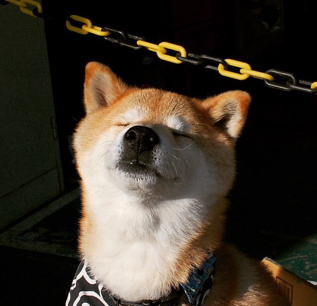 开云网站-“绿色动力”崛起：新能源在WRC中的深度布局，新能源 vcu