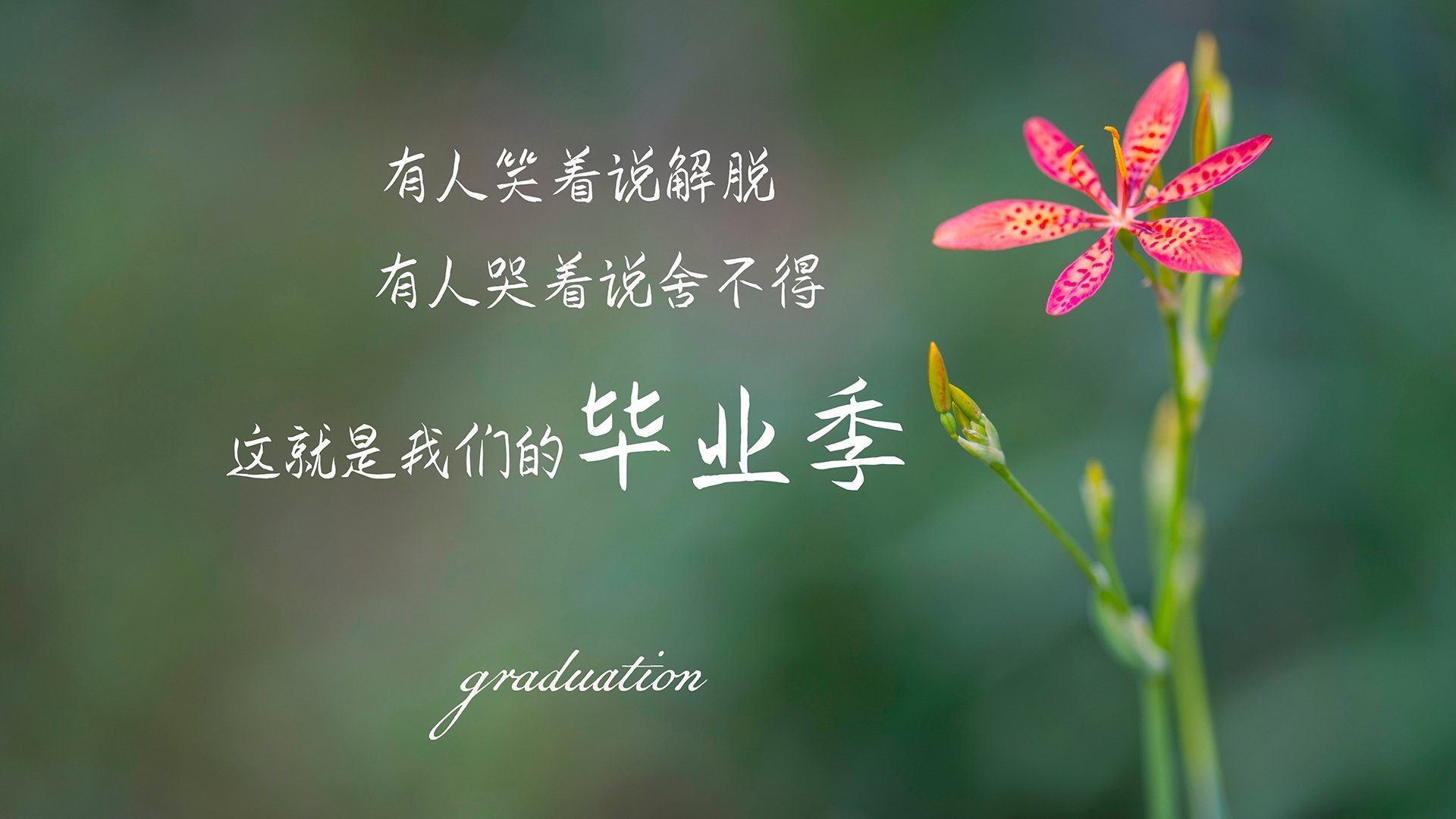 开云首页登录-“篮网队豪取连胜，三巨头状态火热”，篮网队三大巨头