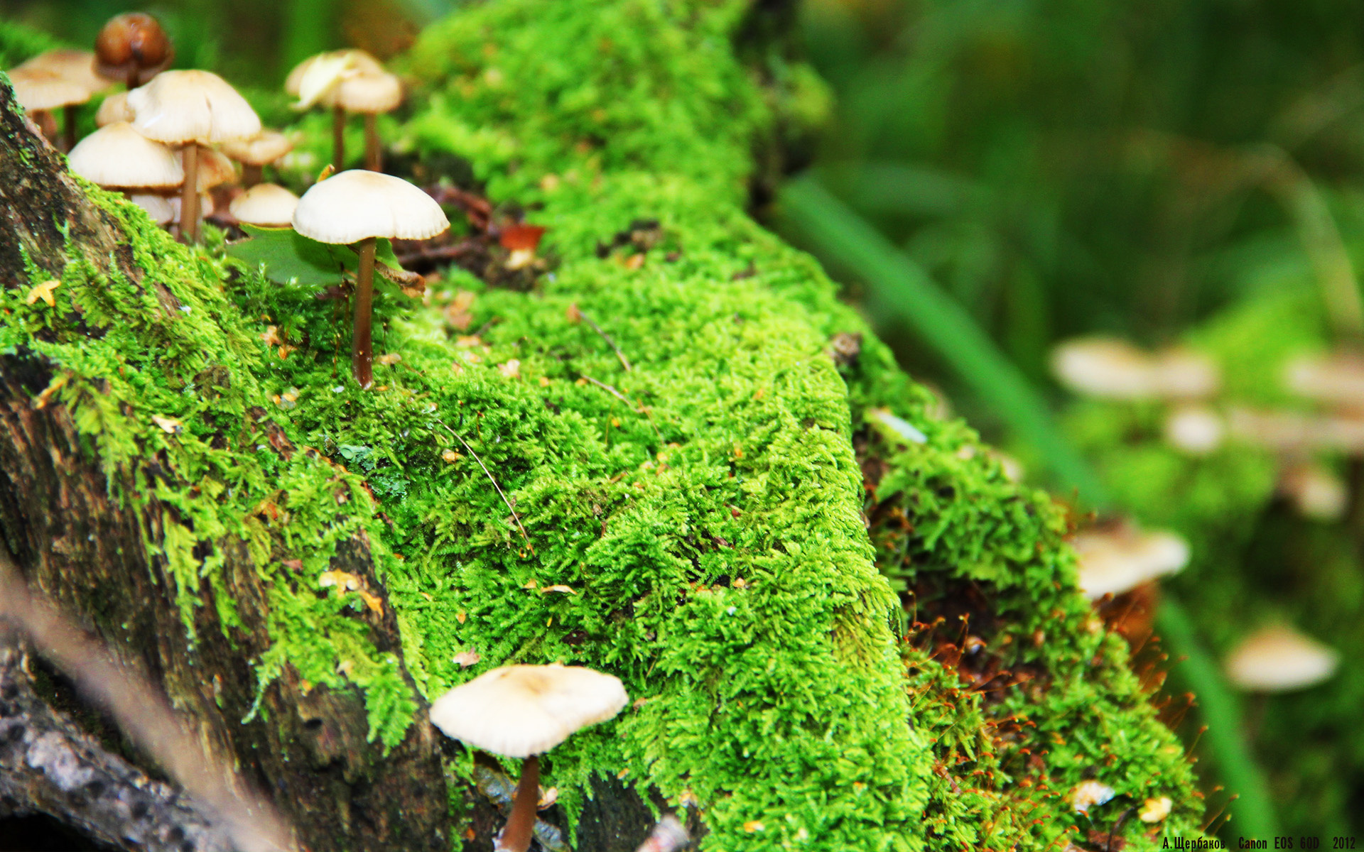 开云中国-“生死时速，快如闪电！”——极限救援行动内幕，极限救援真实事件还原