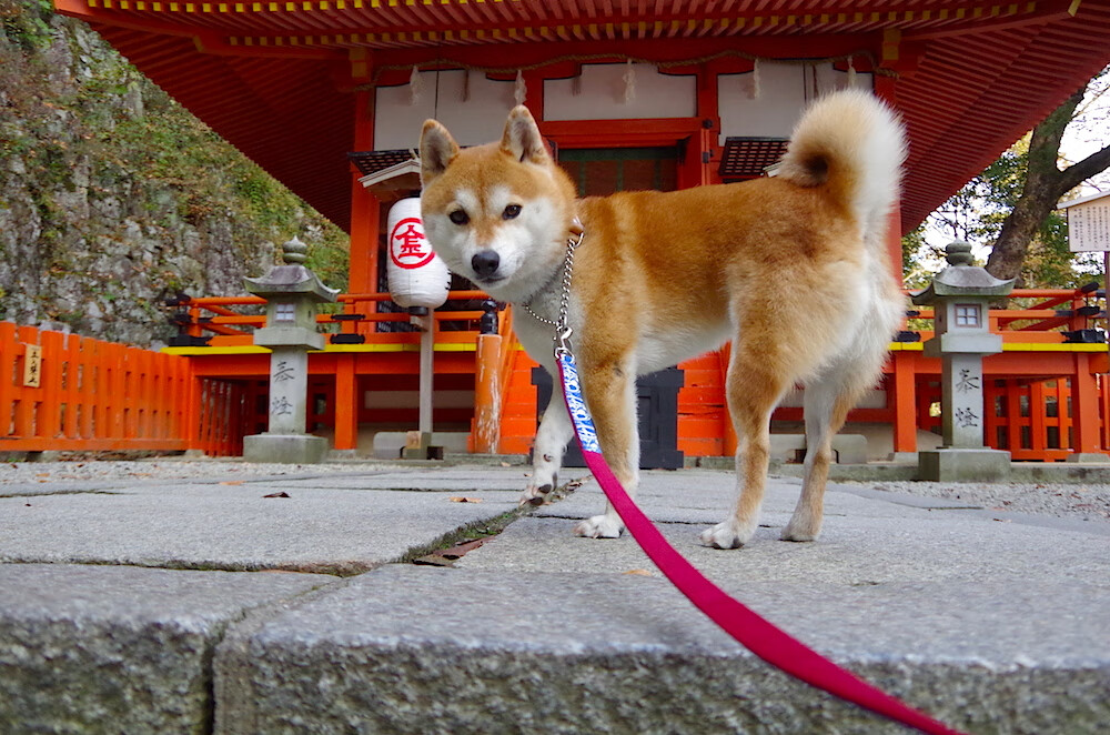 开云中国-《回顾经典：那些年让人难忘的电竞传奇比赛》，电竞传奇选手一览