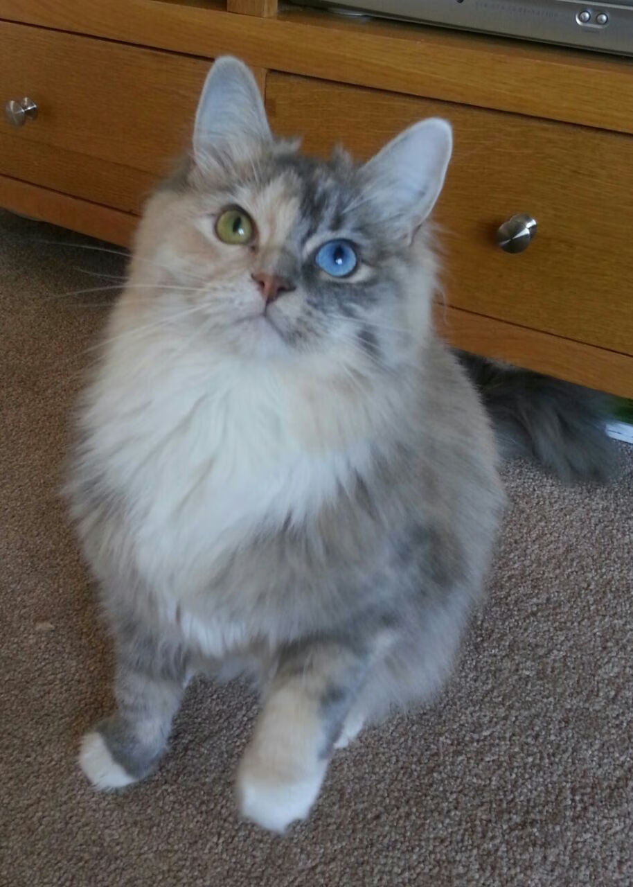 开云官方-【比赛战术解析】教练如何通过转换投手轮换扭转乾坤，投篮精髓之转腕