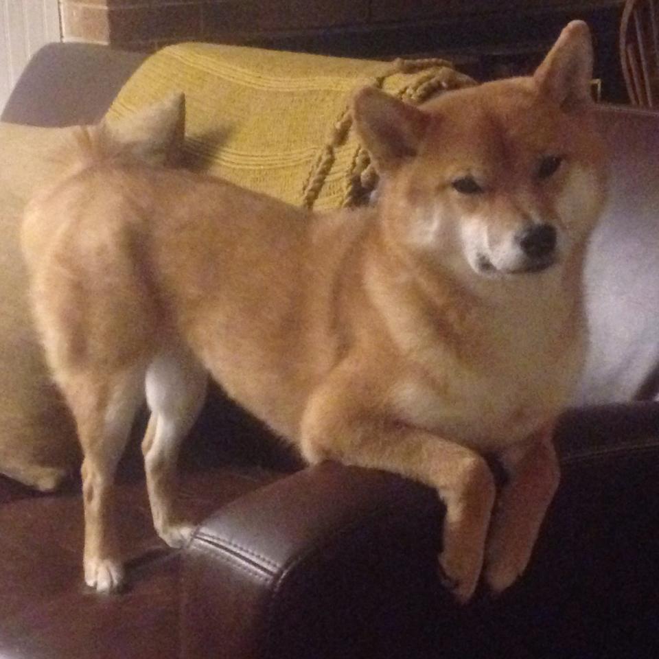 开云中国-【强化技巧】奥沙利文如何提升母球控制能力？，奥沙利文练球视频大全