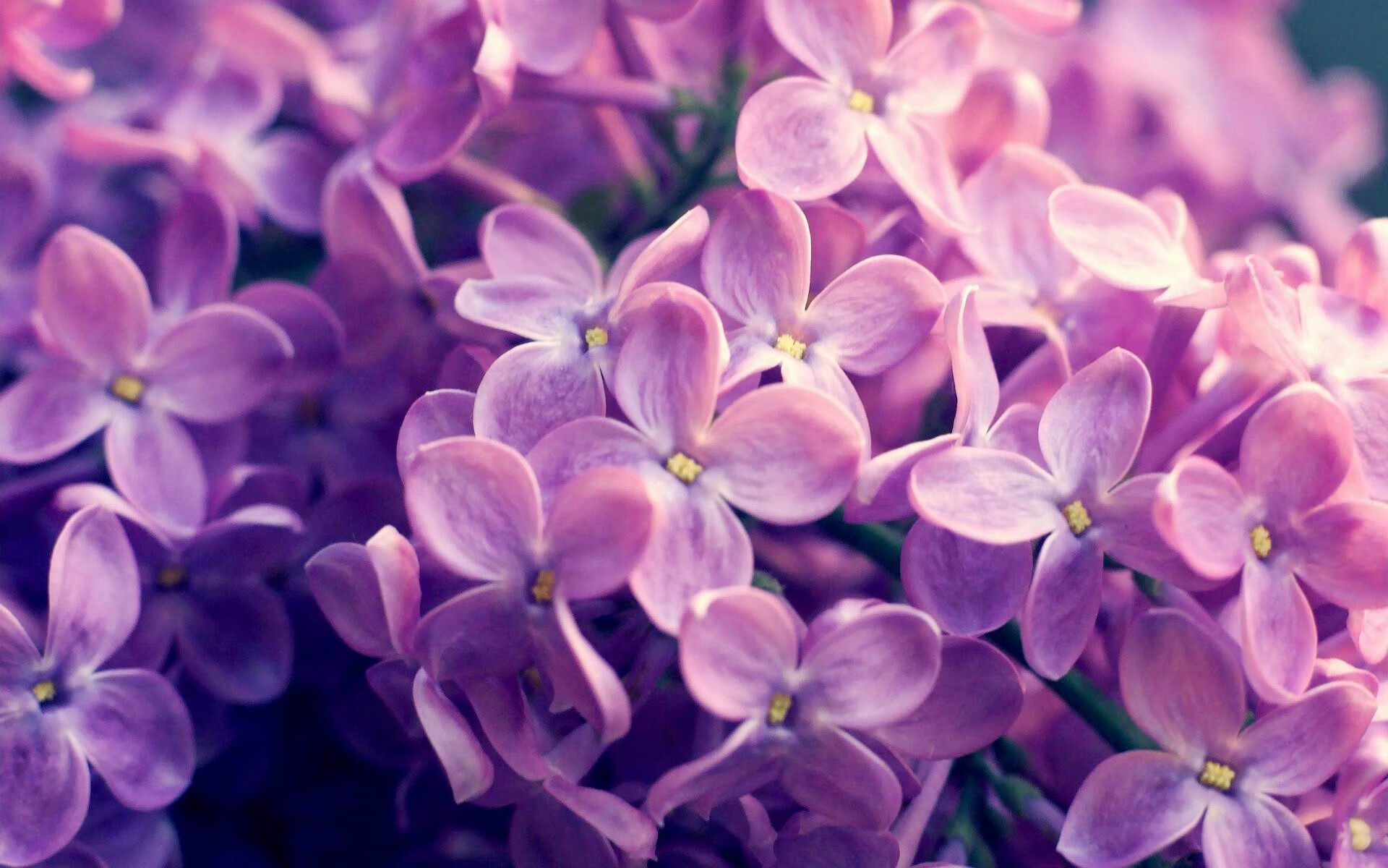 开云网页版登录入口-哈里·凯恩以3球成为欧洲杯并列金靴，哈里凯恩助攻