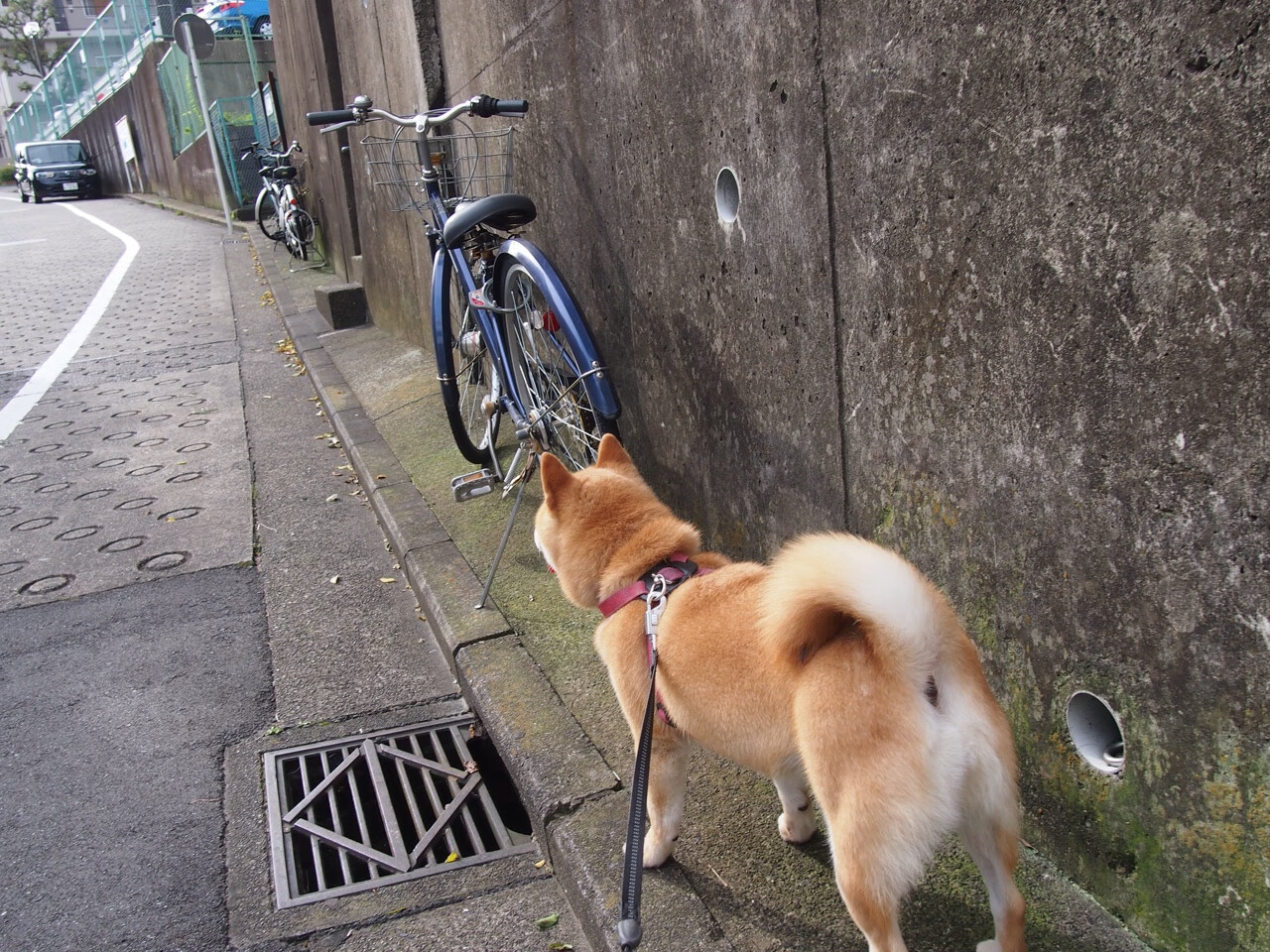 KAIYUNAPP-游戏画面技术的创新：光影效果与材质表现，游戏光影的照片