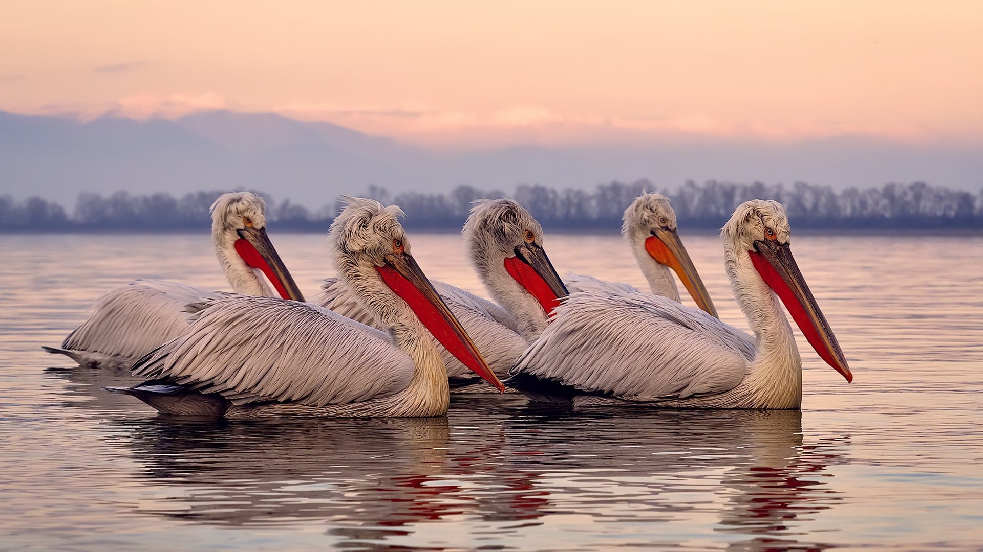 开云体育网页版入口-球场之外：运动员的生活故事，形容球场上的运动员的句子