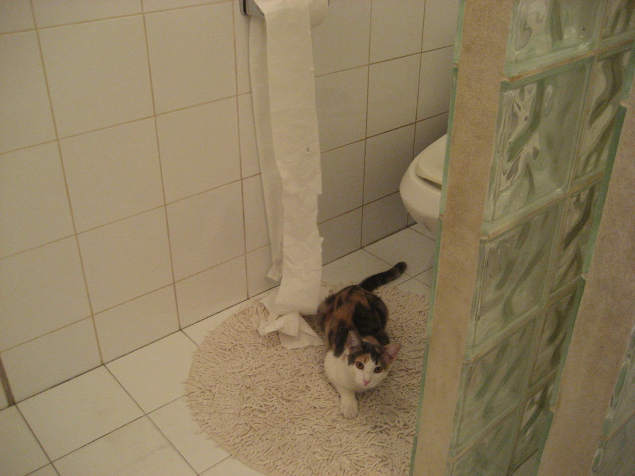 开云网页版-线上瑜伽课程受欢迎，学员遍布全国，线上瑜伽课是怎么学