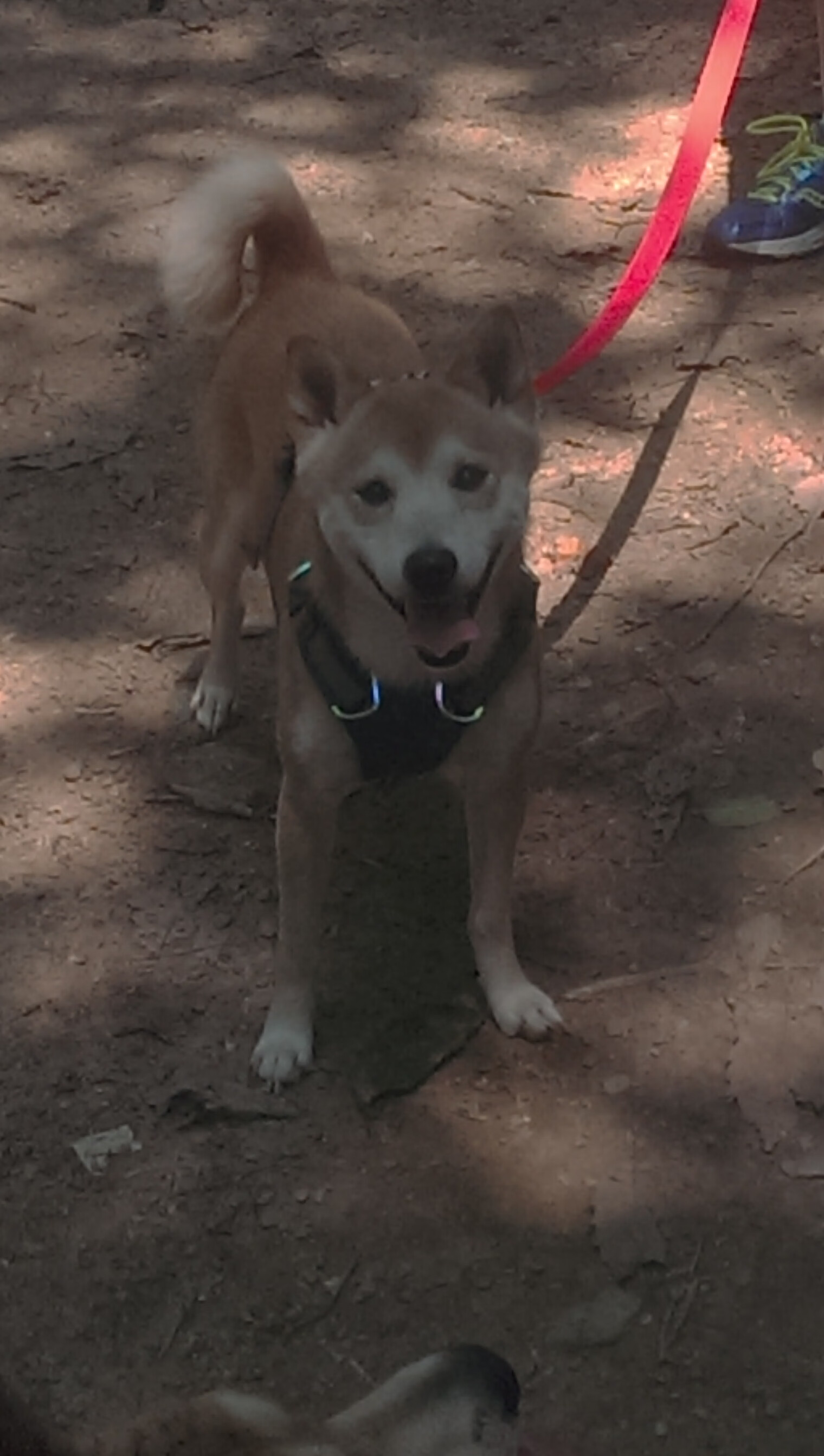 开云·体育全站登录地址-西甲激情四溢，精彩转身和精彩远射引爆现场，西甲视频集锦2020