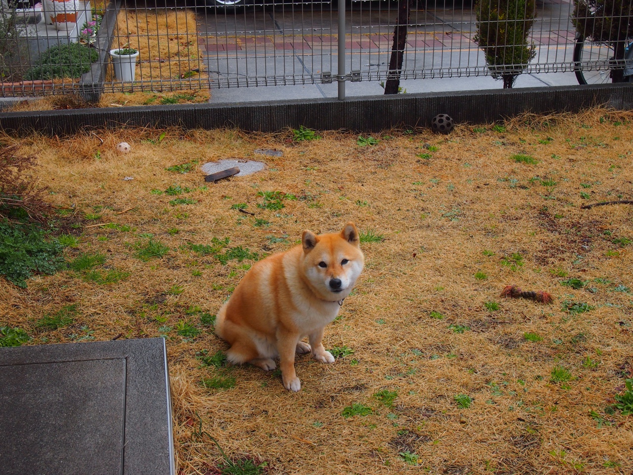 KAIYUN 中国大陆-虚拟赛场：模拟比赛重现经典瞬间，虚拟杯赛