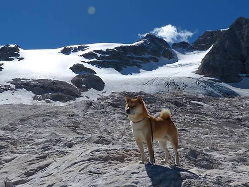 开云官网首页-足球场馆建设标准化，行业迈向高质量发展，标准足球场建设大约需要多少钱