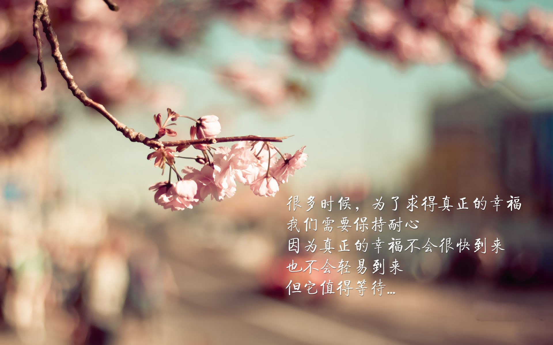 开云下载-TL迎战LCK劲旅预演激烈，lckt1比赛视频2021