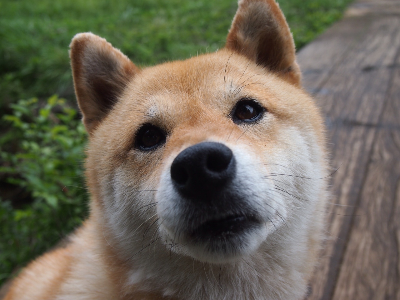 开云下载-人队全面崛起，稳坐东部第一宝座，ren队