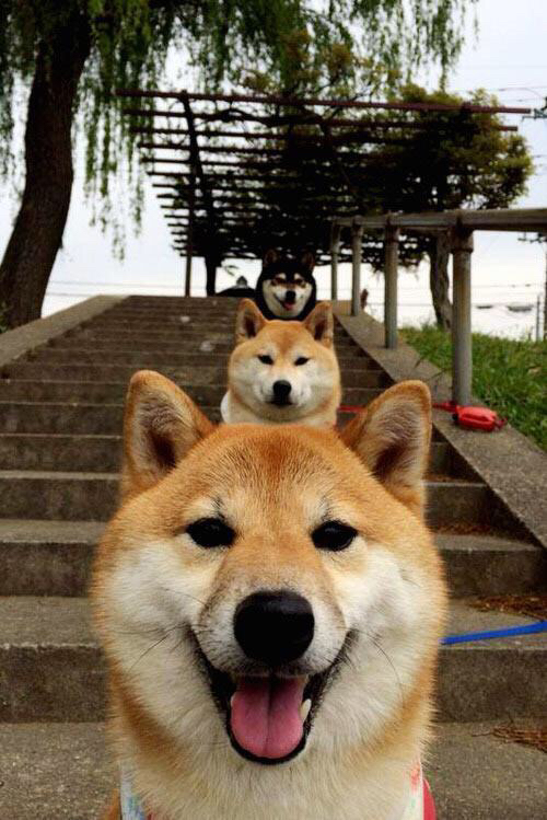 kaiyun-官方羽毛球联合积分系统更新，羽毛球积分排名规则