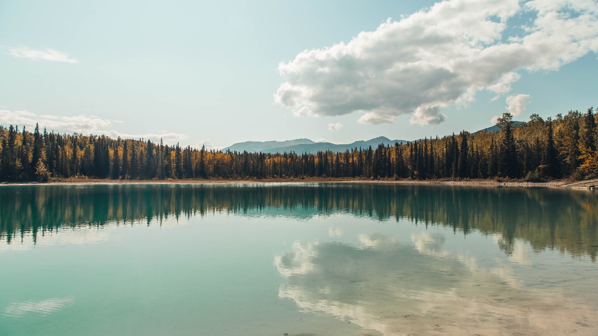 kaiyun登录入口-中国青少年篮球课程体系改革及完善研究,中国青少年篮球课程体系改革及完善研究论文