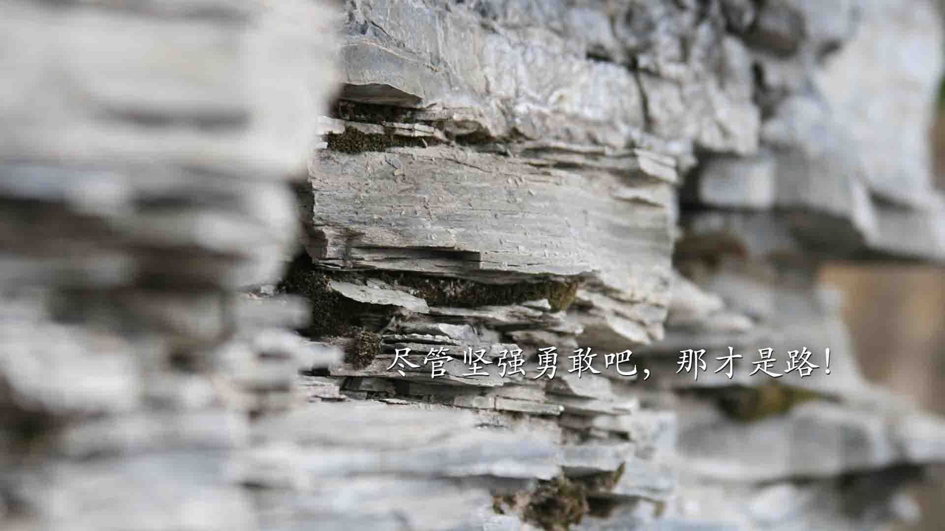 开云官网首页-西甲球队基于视觉轨迹分析提高短传渗透效率，西甲看点