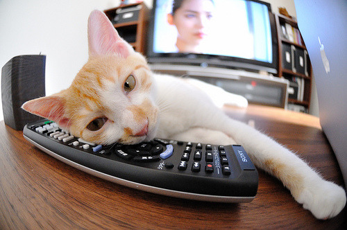 详细阅读:开云在线直播-掩护后节奏调整是否决定得分效率,掩护配合的主要步骤是由挡和拆两个动作组成 开云在线直播-掩护后节奏调整是否决定得分效率,掩护配合的主要步骤是由挡和拆两个动作组成