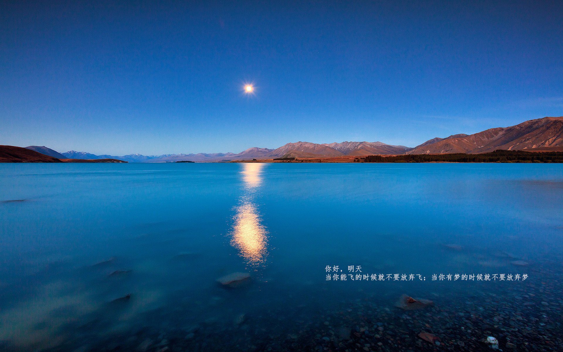 开云体育在线入口-欧洲杯变阵奇招：战术创新激发无限可能！，欧洲杯推演